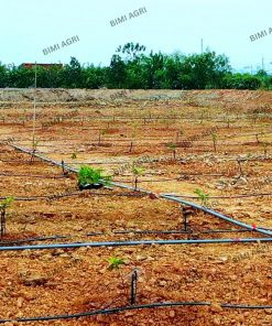 Ống LDPE thương hiệu BIMI AGRI làm từ nhựa nguyên sinh 100%, độ bền nắng mưa trên 15 năm, bảo hành 5 năm. Có các kích thước phi 16,20,25,32