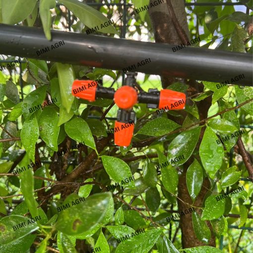 Béc phun sương cam 5 cửa bao gồm 5 đầu phưn sương cam chỉnh lưu lượng và bán kính tại đầu béc và 1 cổng chia 5 để ra nhánh 5 cái béc