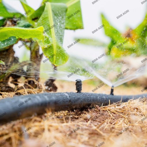 Béc đen chân cắm là dòng béc mini lưu lượng từ 90-100l/H, bán kính tưới từ 1 mét đến 1 mét 2, tưới gốc vô cùng hiệu quả