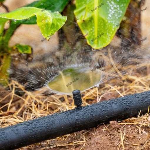 Béc đen chân cắm là dòng béc mini lưu lượng từ 90-100l/H, bán kính tưới từ 1 mét đến 1 mét 2, tưới gốc vô cùng hiệu quả