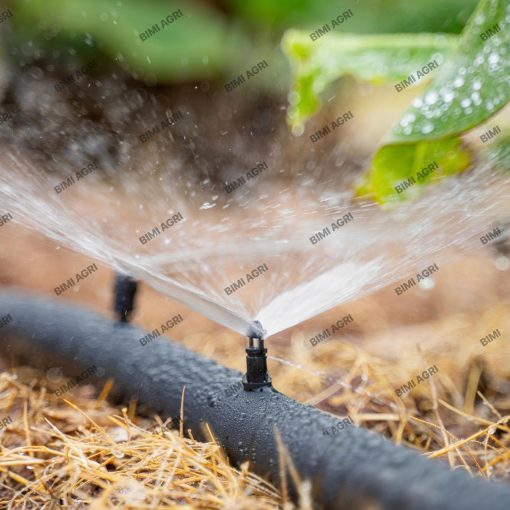 Béc đen chân cắm là dòng béc mini lưu lượng từ 90-100l/H, bán kính tưới từ 1 mét đến 1 mét 2, tưới gốc vô cùng hiệu quả