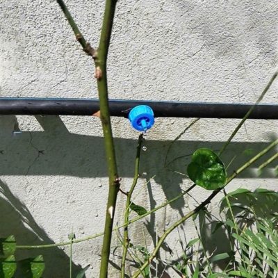 Đầu béc nhỏ giọt có bù áp