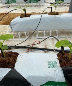 Bộ que nhỏ giọt chia 4, với 4 que nhỏ giọt dài 10cm, mỗi đoạn dây dẫn nước 3/5 dài 50cm, và 1 đầu chia ra 4 đoạn dây