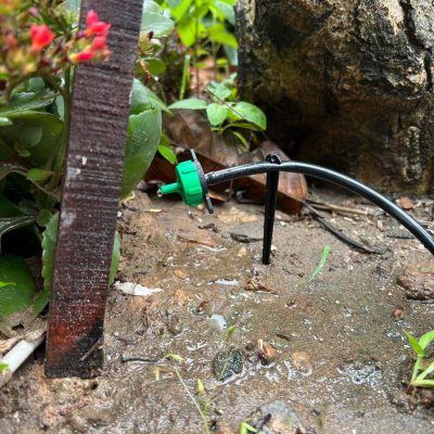 béc nhỏ giọt bù áp