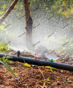 Ống mềm không đục lỗ gắn béc tưới gốc có kích thước phi 27,34