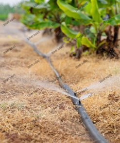 Ống mềm không đục lỗ gắn béc tưới gốc có kích thước phi 27,34