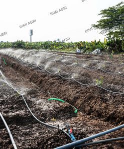 Ống mềm không đục lỗ gắn béc tưới gốc có kích thước phi 27,34