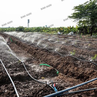 Ống mềm không đục lỗ gắn béc tưới gốc có kích thước phi 27,34