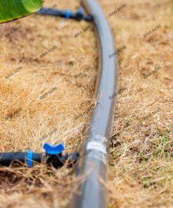 Ống chính tải nước 2 lớp phi 42, 50 dày 0.8mm