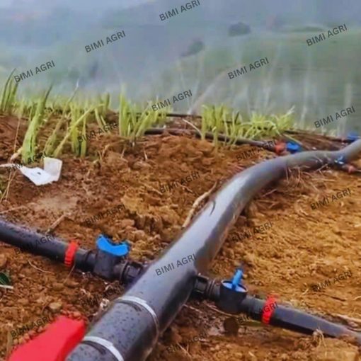 Ống chính 2 lớp phi 63 dày 1.2mm cuộn 100 mét