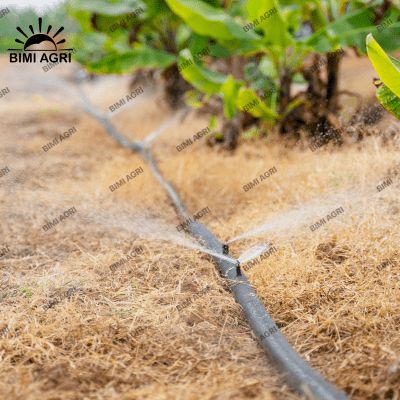 Ống mềm gắn béc mini