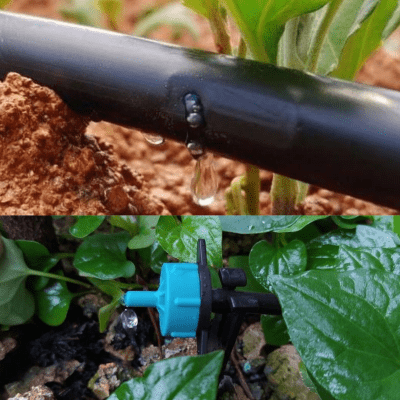 Hệ thống tưới nhỏ giọt