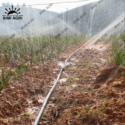 Hệ thống tưới phun mưa