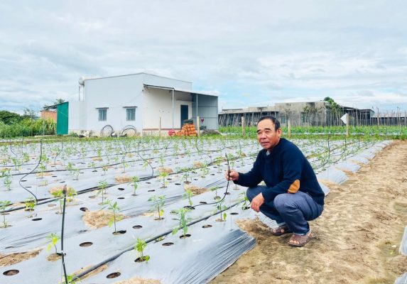 Lợi ích khi sử dụng hệ thống tưới