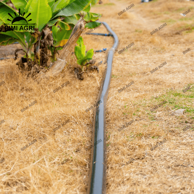 Ống chính PE 2 lớp