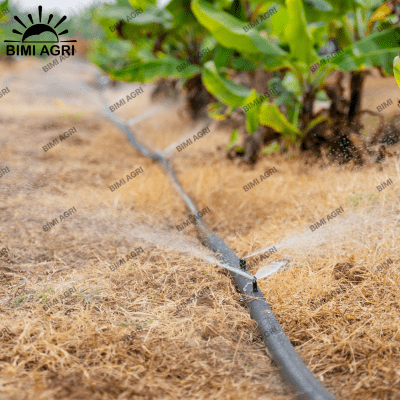 Ống mềm gắn béc