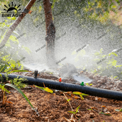 Hệ thống tưới