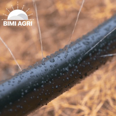 ong-phun-mua-duc-lo-san