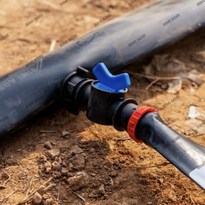 ong-phun-mua-duc-lo-san