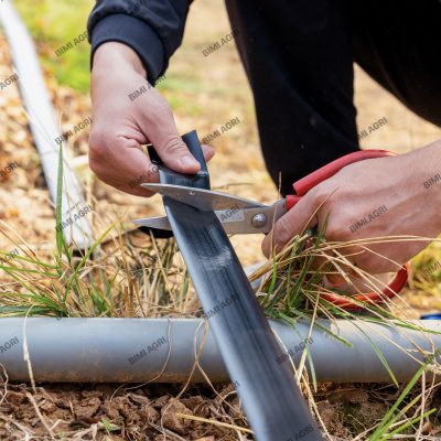 ong-phun-mua-duc-lo-san