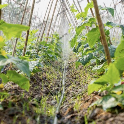 Ống phun mưa BIMI AGRI