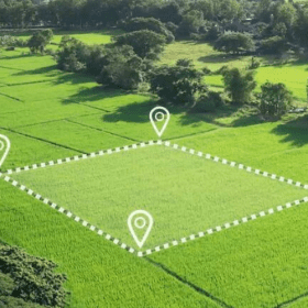 Hệ thống tưới