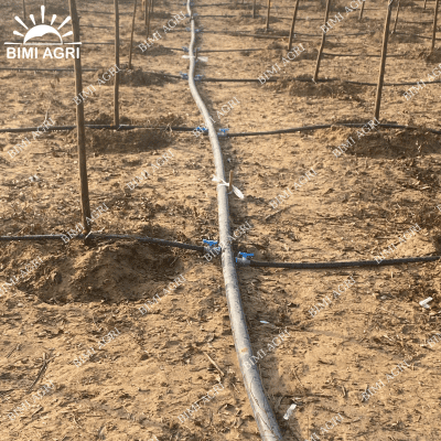 Chia đường ống tưới