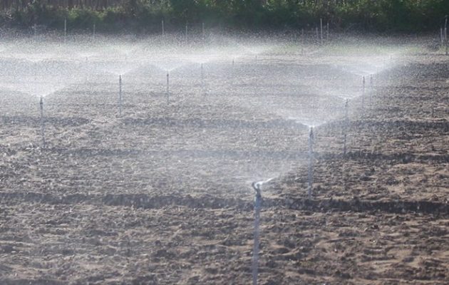 Hệ thống tưới