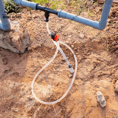 Tưới nhỏ giọt & hệ thống phân bón