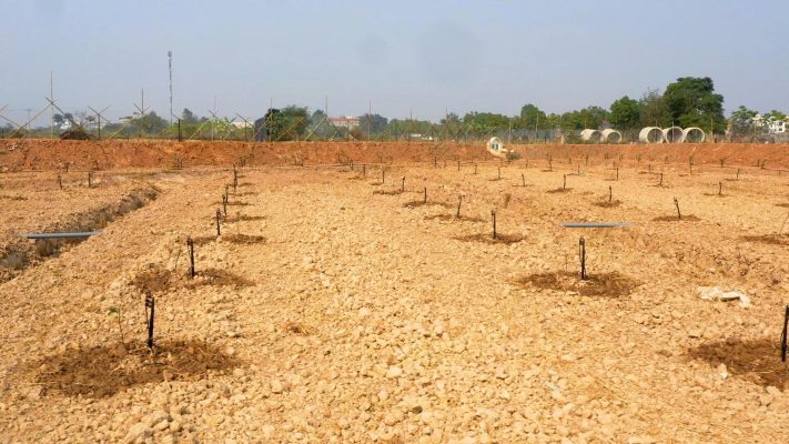 Tưới tiết kiệm