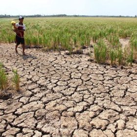 Giải pháp tưới tiết kiệm