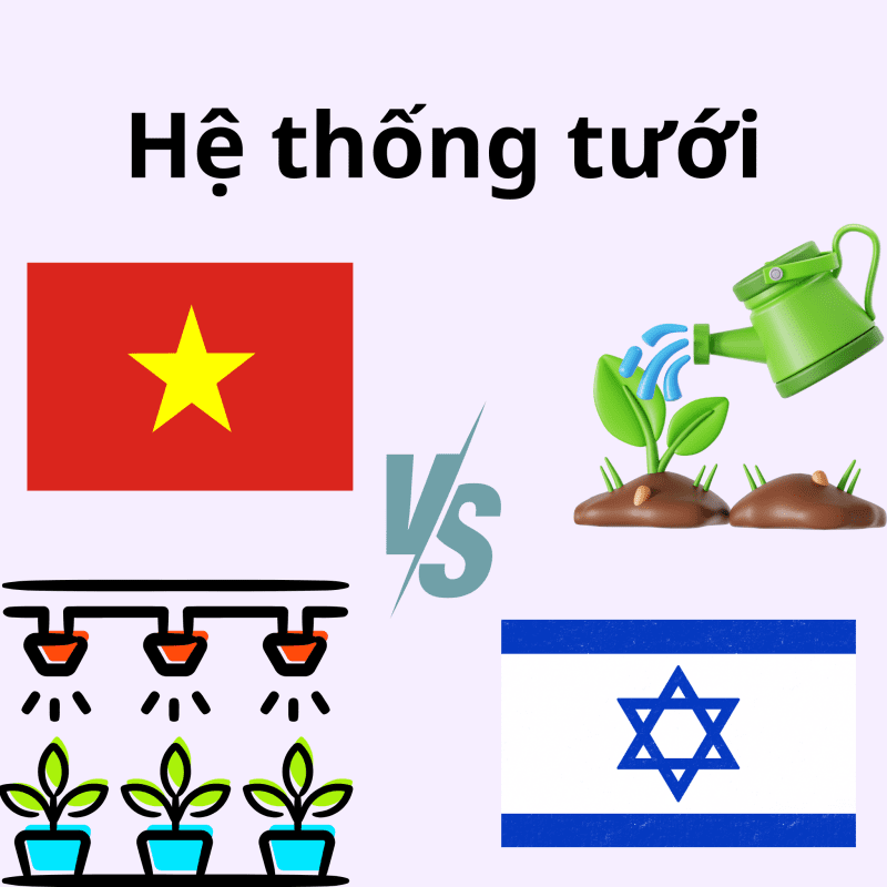 Hệ thống tưới