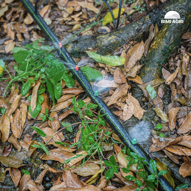 Ống dẻo LDPE - BIMI AGRI