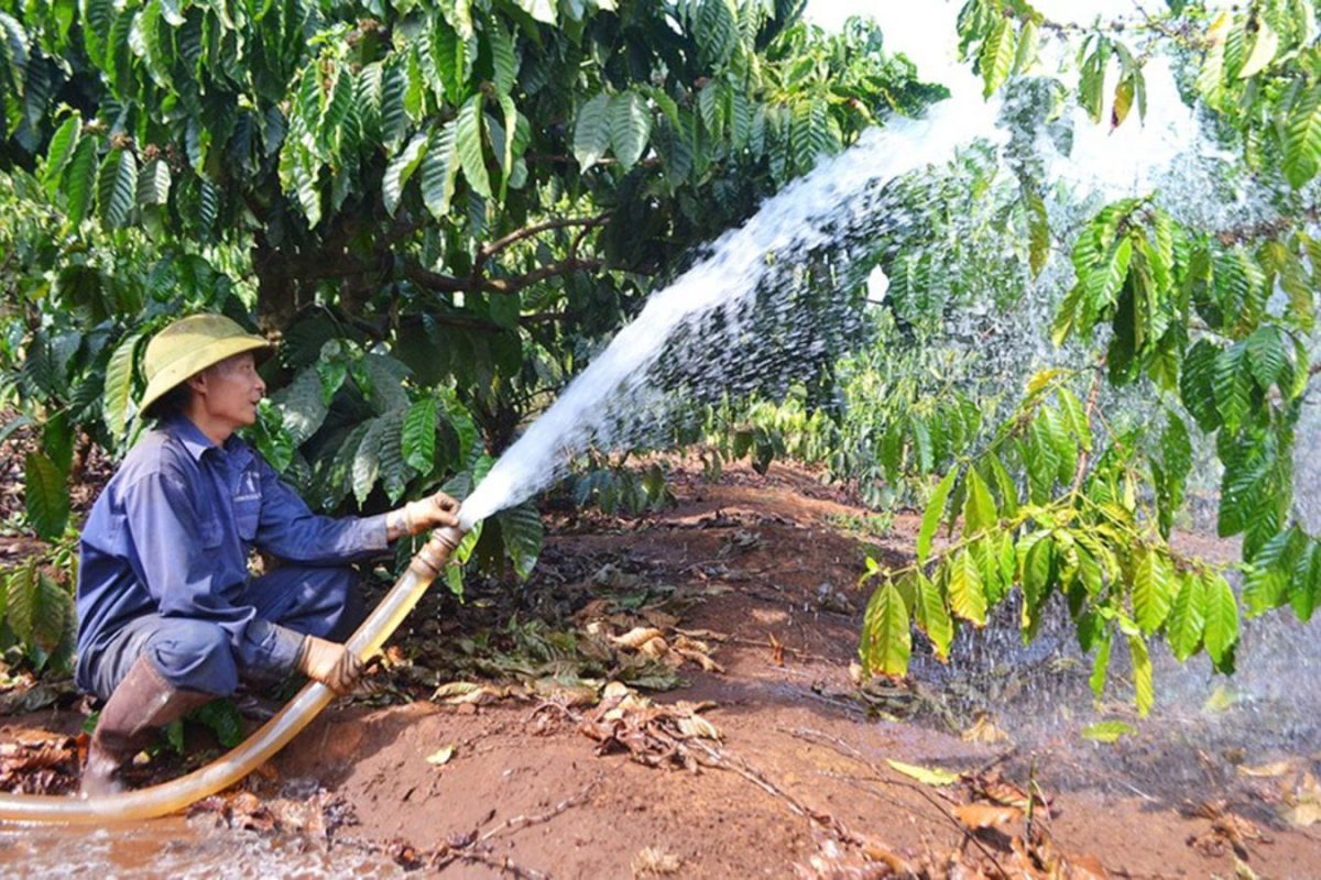 Tưới thủ công
