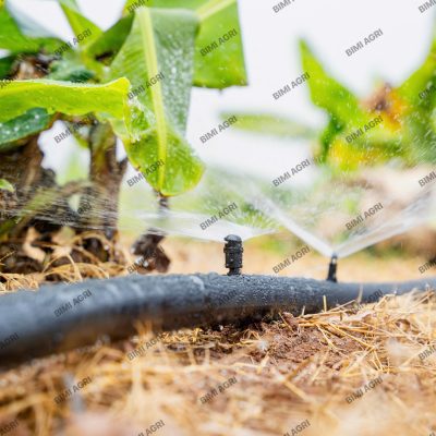 Béc đen chân cắm là dòng béc mini lưu lượng từ 90-100l/H, bán kính tưới từ 1 mét đến 1 mét 2, tưới gốc vô cùng hiệu quả