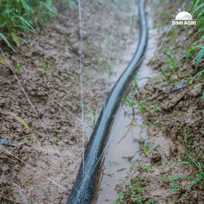 Ống phun mưa đục lỗ tưới rau màu, cây ngắn ngày có 4 kích thước 21,27,34,42