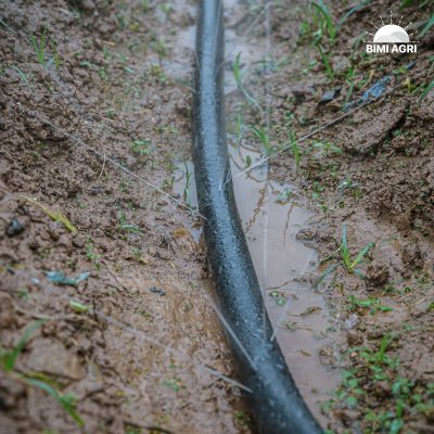 ống tưới phun mưa đục lỗ sẵn BIMI AGRI