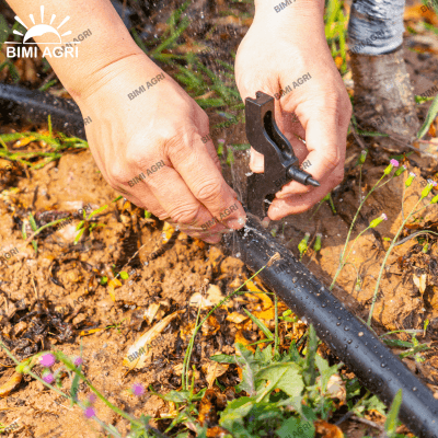 Đục lỗ gắn béc