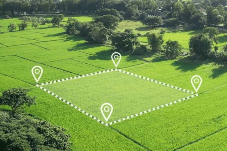 Hệ thống tưới