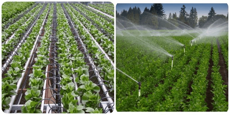 Tưới tự động