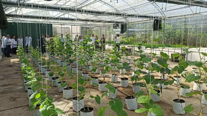 Hệ thống tưới Việt Nam